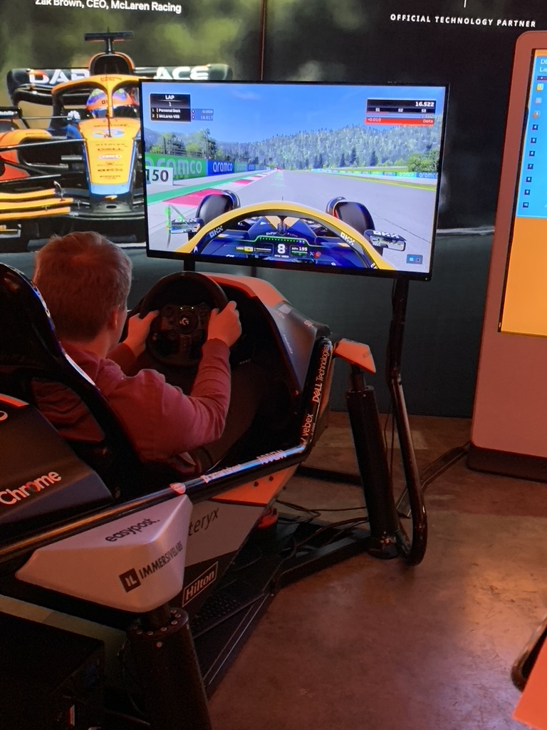 The F1 simulator